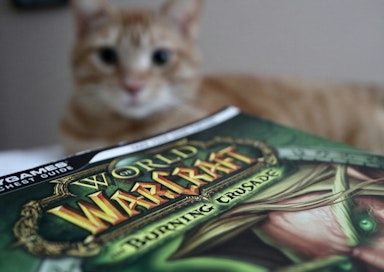 posts/create-wow-server/cat-and-wow-book.jpg